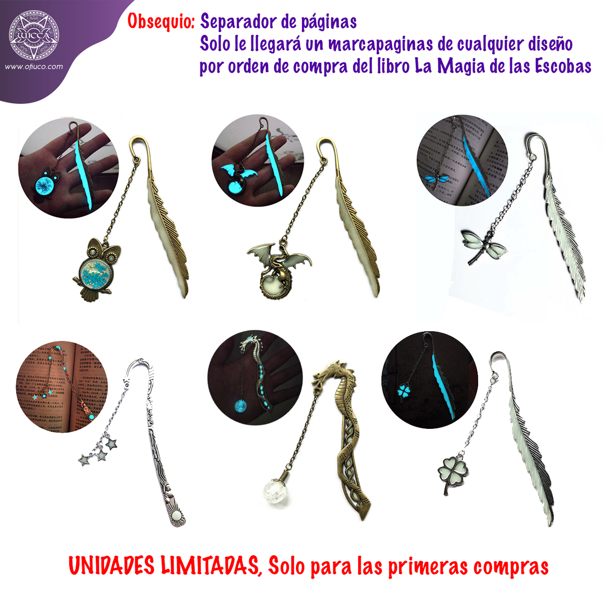 Libro La Magia de las Escobas - Manual de Brujas y Magos